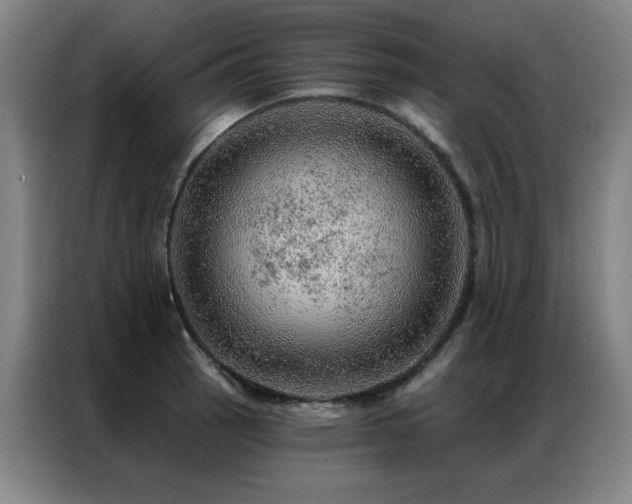 X0000087381137200704201241