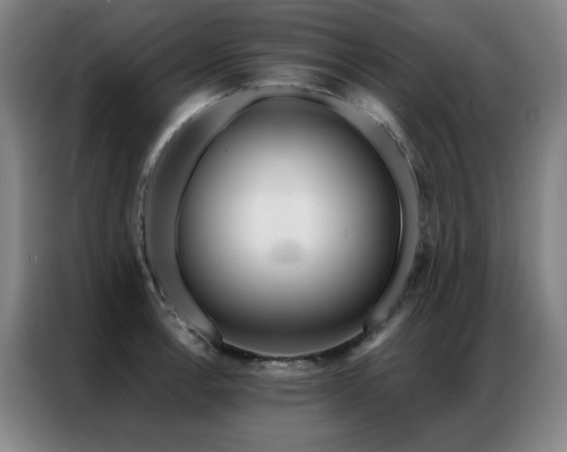 X0000087381138200704201241