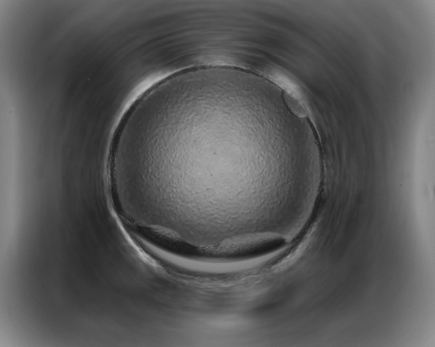 X0000087381141200704201241