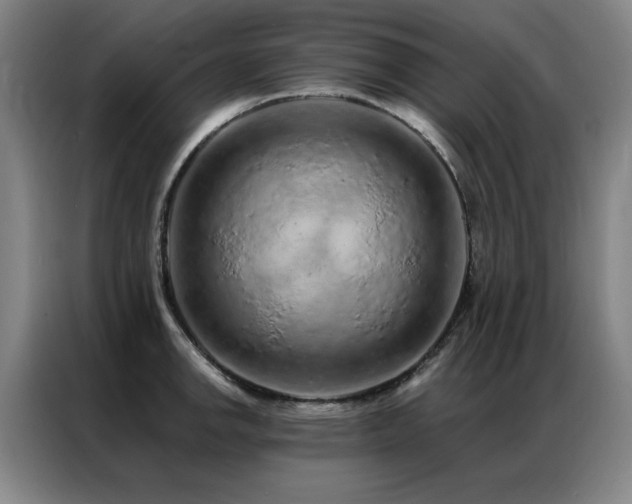X0000087381142200704201241