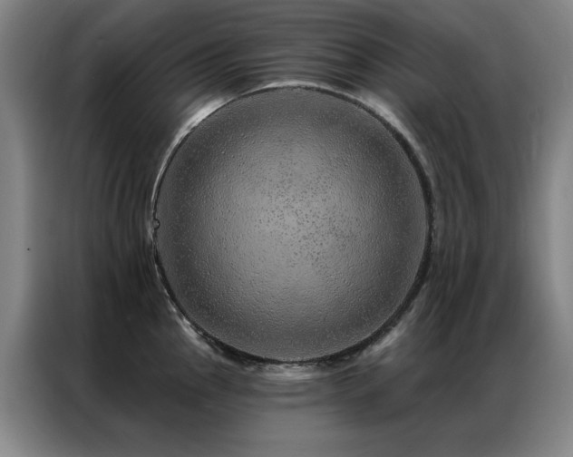 X0000087381145200704201241