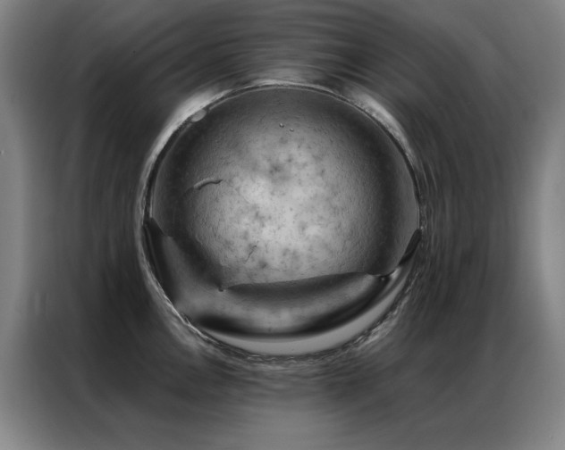 X0000087381146200704201241