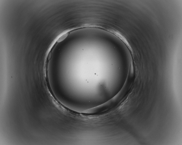 X0000087381148200704201241