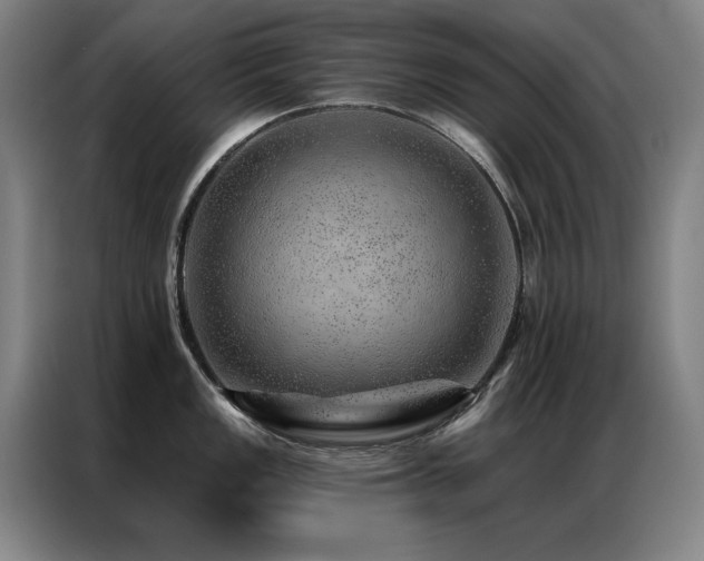 X0000087381149200704201241