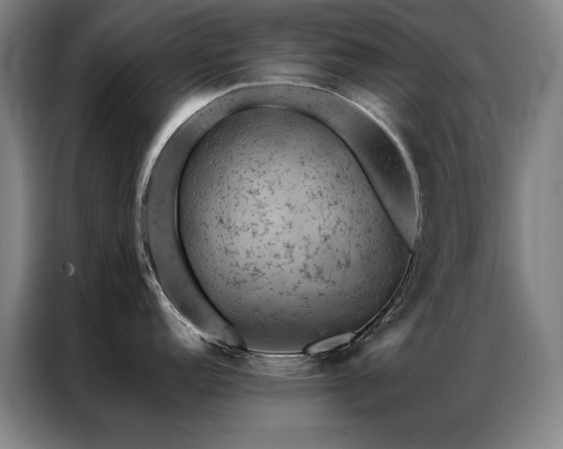 X0000087381152200704201241