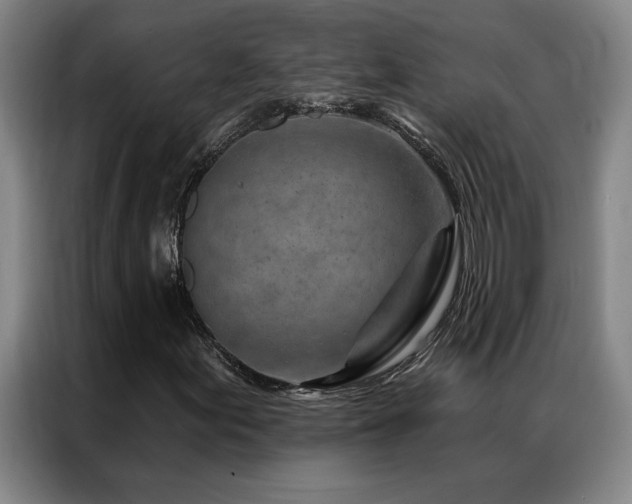 X0000087381155200704201240