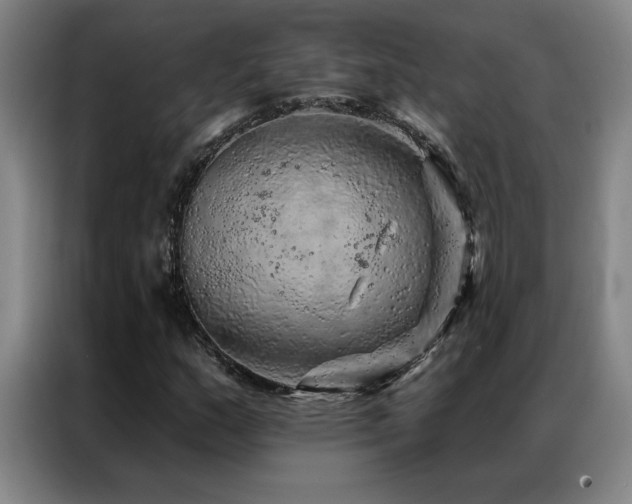 X0000087381159200704201240