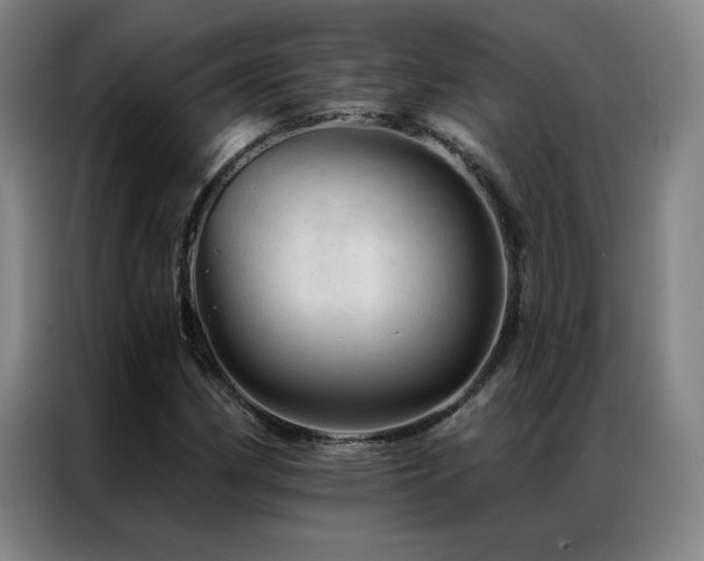 X0000087381162200704201240