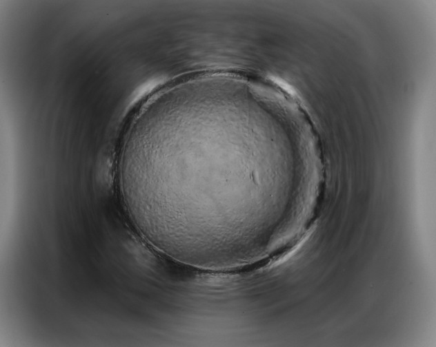 X0000087381163200704201240