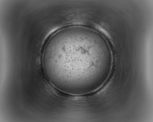 X0000087381166200704201240