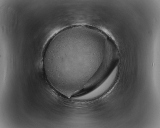 X0000087381167200704201240