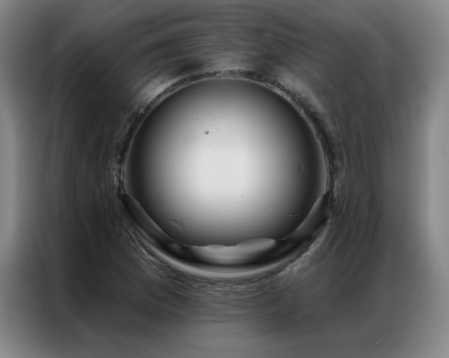 X0000087381169200704201240