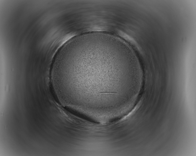 X0000087381170200704201240