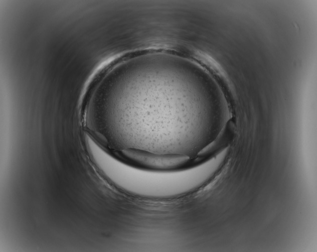 X0000087381172200704201240
