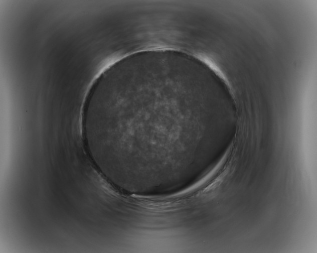 X0000087381173200704201240
