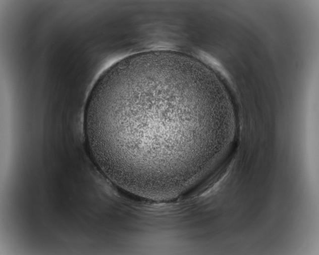 X0000087381174200704201240