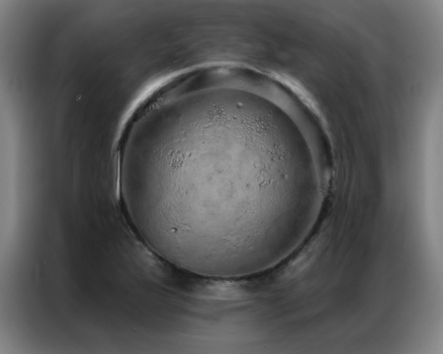 X0000087381175200704201240