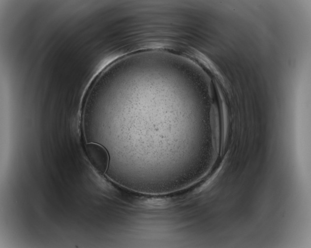 X0000087381178200704201240