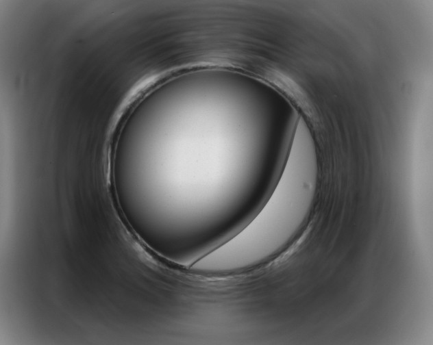 X0000087381180200704201240