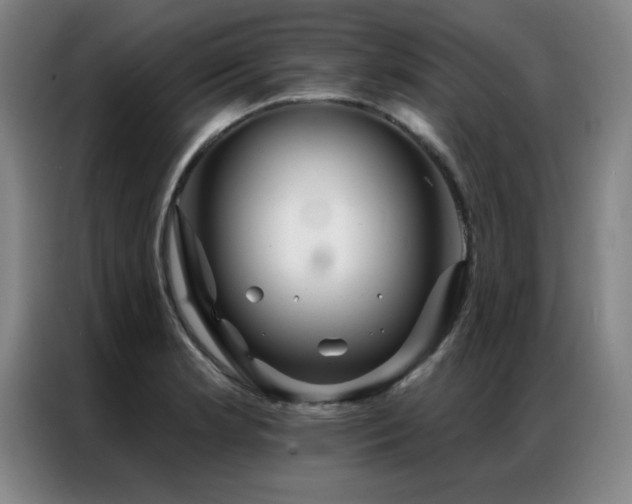 X0000087381181200704201240