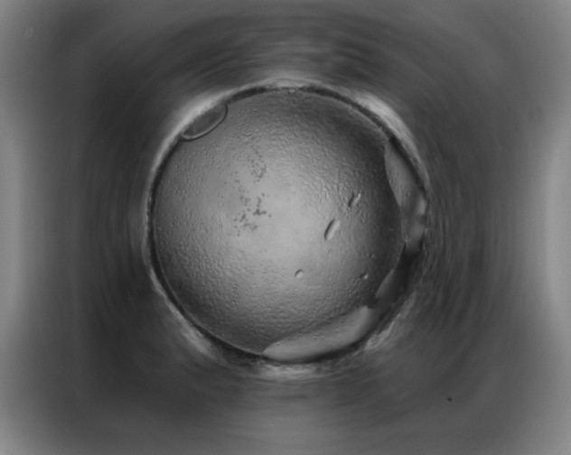 X0000087381183200704201240