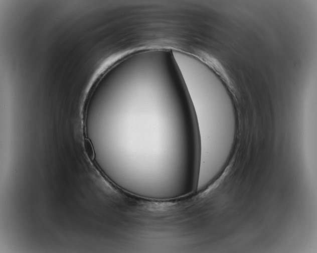 X0000087381184200704201240