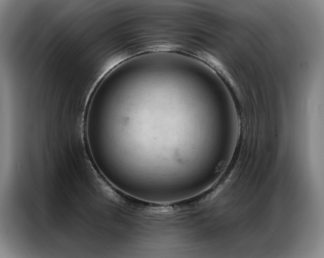 X0000087381186200704201240