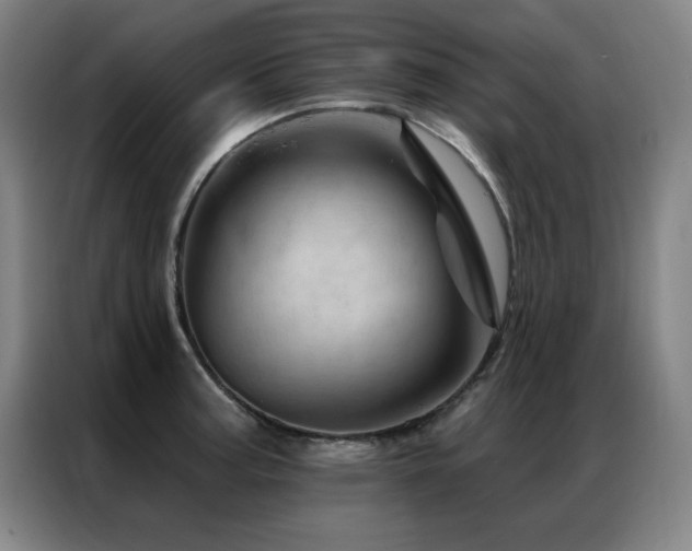 X0000087381187200704201240