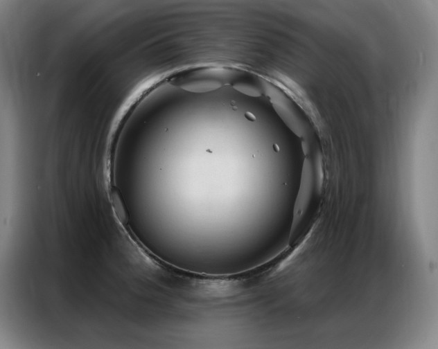 X0000087381188200704201240