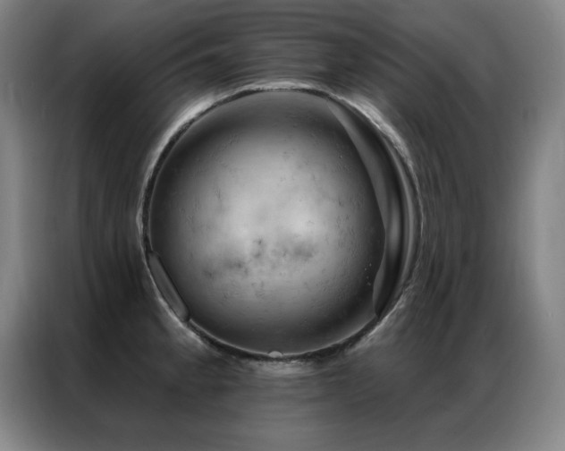 X0000087381189200704201240