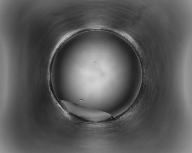 X0000087381191200704201240