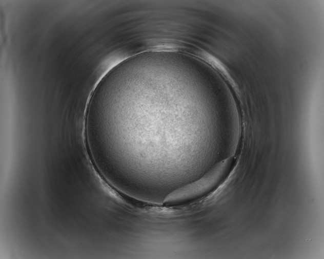 X0000087381194200704201240