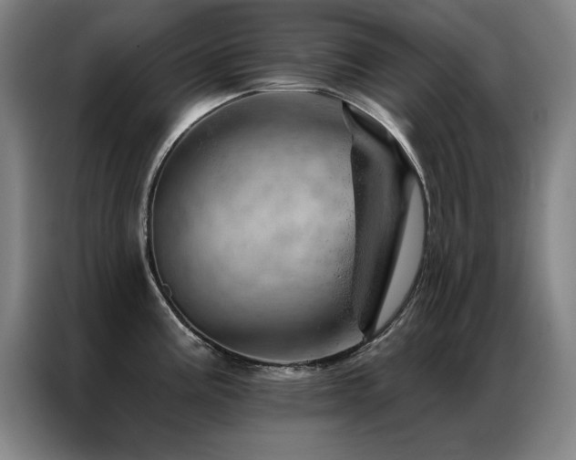 X0000087381195200704201240