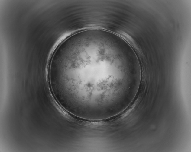 X0000087381196200704201240