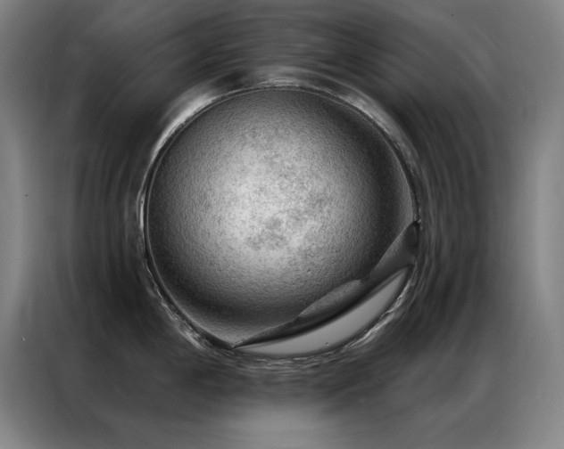 X0000087381198200704201240