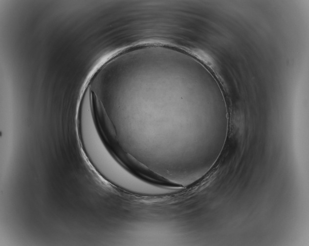 X0000087381199200704201240