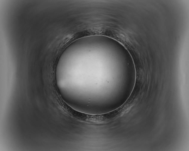 X0000087381201200704201239