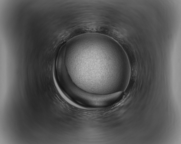 X0000087381202200704201239