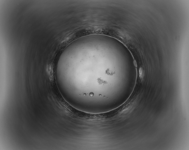X0000087381203200704201239