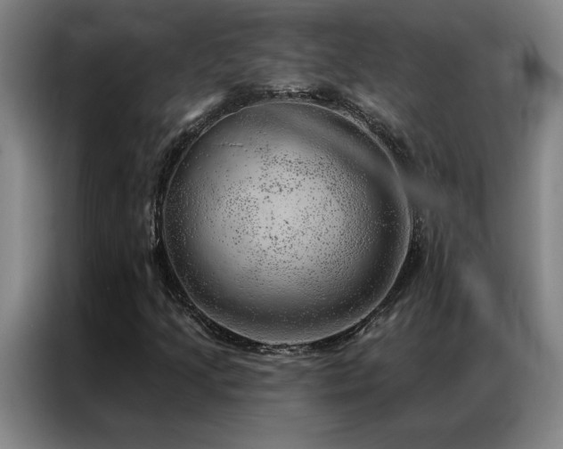 X0000087381205200704201239