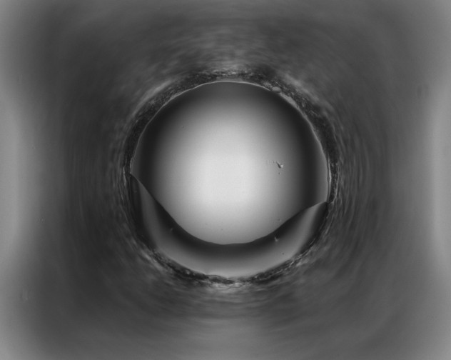 X0000087381206200704201239