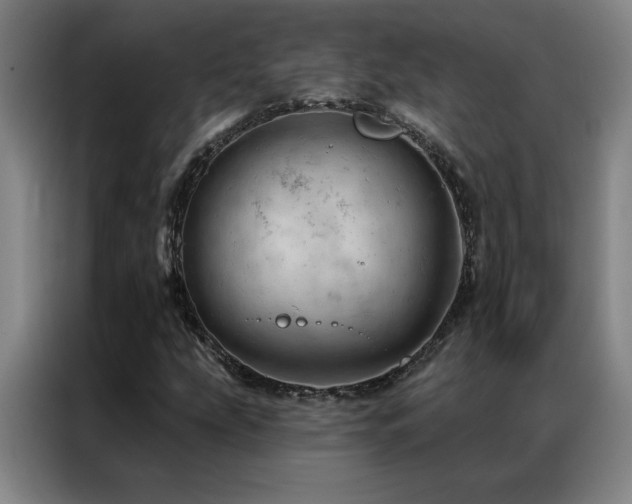 X0000087381207200704201239