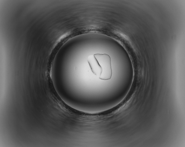 X0000087381210200704201239