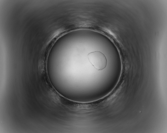 X0000087381211200704201239