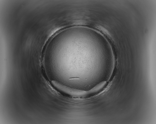 X0000087381212200704201239
