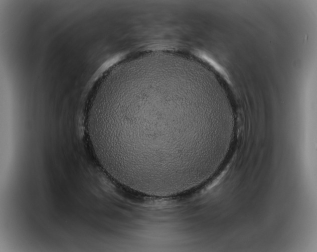 X0000087381213200704201239