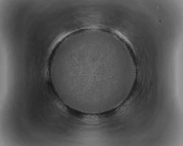 X0000087381215200704201239