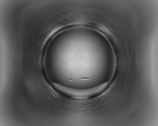 X0000087381216200704201239