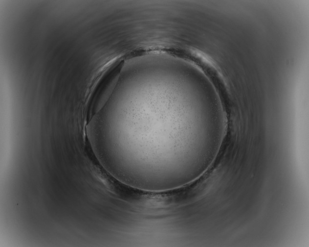 X0000087381217200704201239