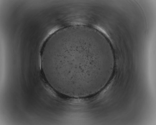 X0000087381219200704201239
